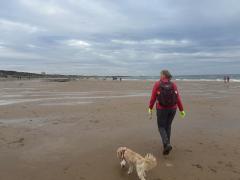 Nice long beach section at Whitley Bay